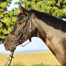 Hiking riding snaffle, hiking