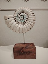 Keramik AMMONIT auf Holz