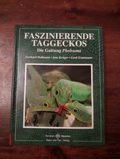 Faszinierende Taggeckos, Die