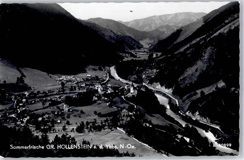 51586688 hollenstein - 51586688,