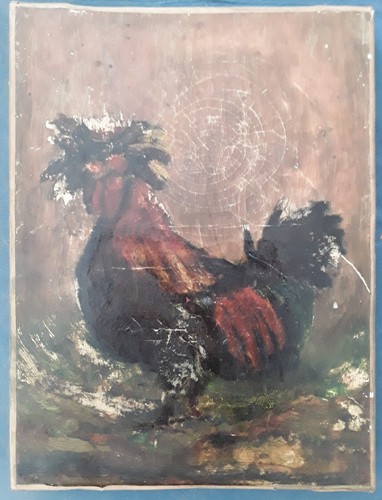 Coq federvieh huhn hahn - coq,,