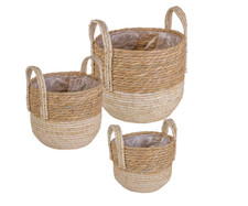 Pflanz-Korb mit Griff aus