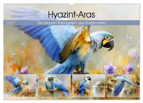 Hyazint aras die blauen - die,