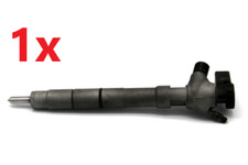 Injektor Einspritzdüse