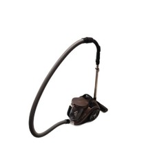 Rowenta RO4B50 Compact Power