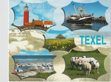 Ansichtskarte Niederlande Texel Nordseeinsel