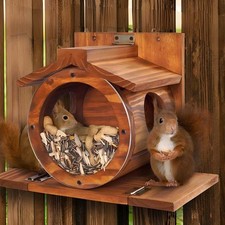 Eichhörnchen Futterhaus