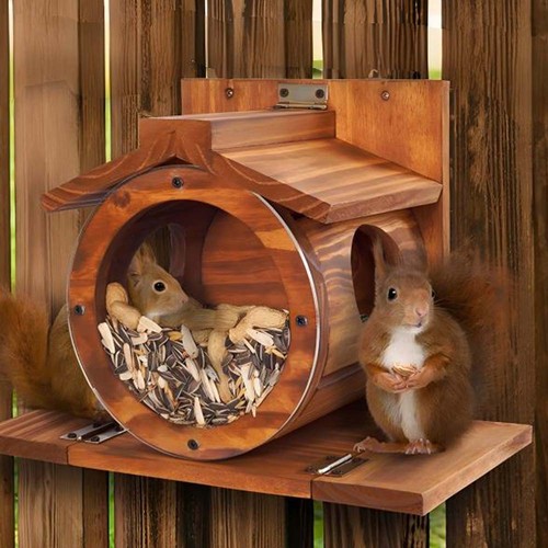 Eichhörnchen futterhaus - eichhörnchen,