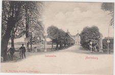 D 223 Moritzburg bei Dresden