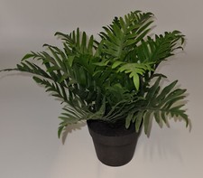 FEJKA Ikea Topfpflanze, künstlich, drinnen/draußen Tüpfelfarn 9cm