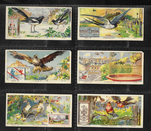 Schokoladenbecher set serie - schokoladenbecher,