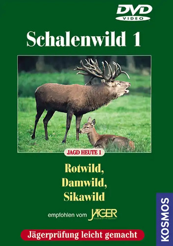 Schalenwild - ,
