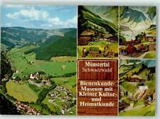 10240280 - 7816 Muenstertal Bienenkunde-Museum mit Kleiner Kultur- und