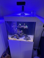 juwel aquarium lido 120 inklusive Red Sea ReefLED