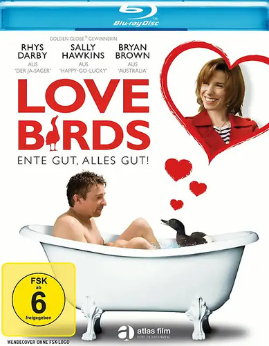 Love birds ente - love, gut,
