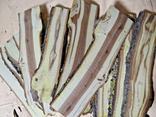 Ulmen holz brett - brett, bohle