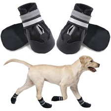 Hundeschuhe pfotenschutz 4 - hundeschuhe,