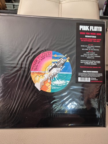 Pink floyd wish you were - wish,