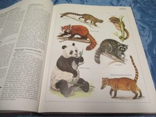 Das grosse Weltreich der Tiere