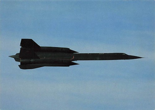 Alte 71a blackbird - ak,