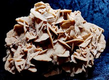 Sandrose Selenit, Gips aus den Sanddünnen bei Quargla Sahara Algerien