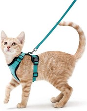 Katzengeschirr mit Leine