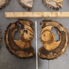 Hohle halbe Nussbaum Baumscheibe ca 45x4cm Holzscheibe Basteln Deko DIY