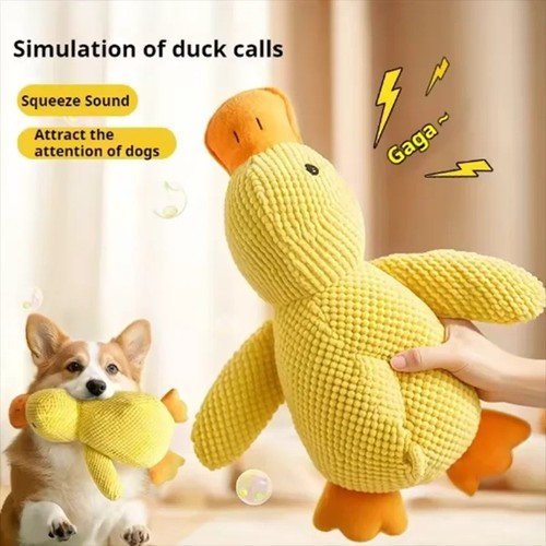 Anti stress ente hund - anti,