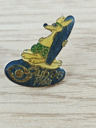 Pins - pins, surfer