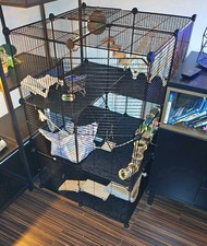 Ratten Käfig Hamster Käfig Nager Käfig Auslauf Mäusekäfig Meerschweinchen Käfig