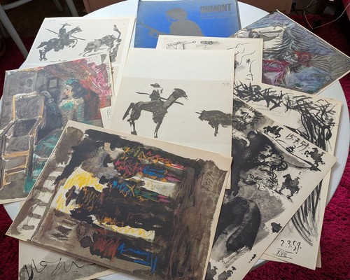 Dumont kunstmappe pablo - dumont,