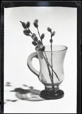 amazing still life w