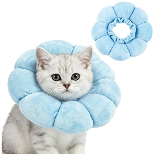 Katzen halskrause leckschutz - katzen,