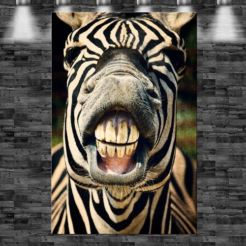 Xxl zebra lacht auf leinwand - xxl,