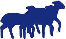 Aufkleber Applikation - Schaf - AP0485 - verschiedene Farben zur Wahl