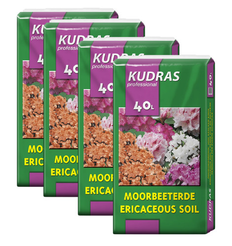 Kudras moorbeeterde - kudras,