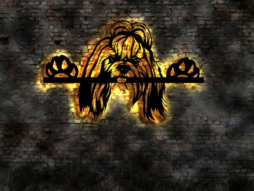 Shih tzu shi - , wandbild