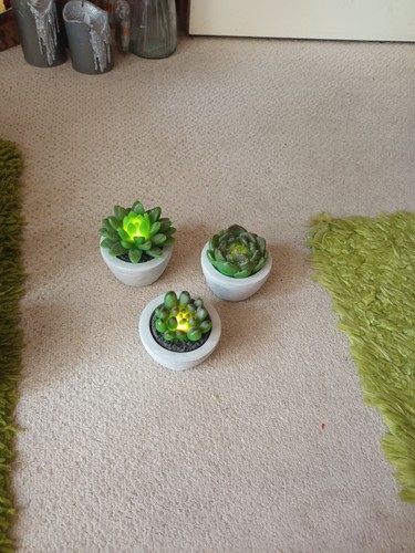 Elambia sukkulente led - elambia,
