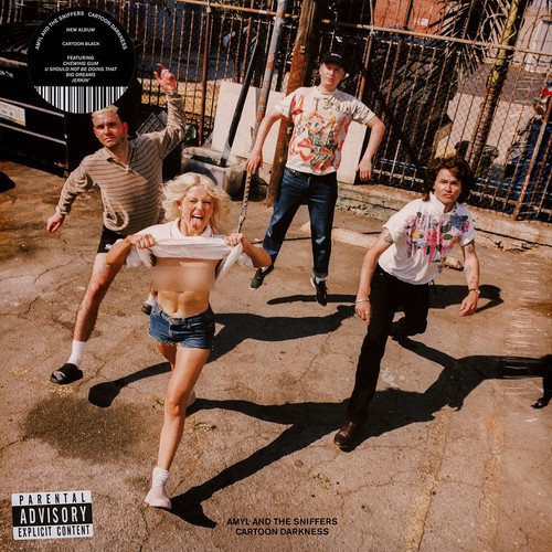 Amyl and the sniffers - the,