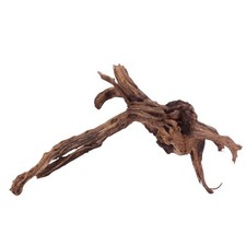 XL Driftwood Flußwurzel