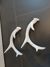 Deko Geweihe 2er Set