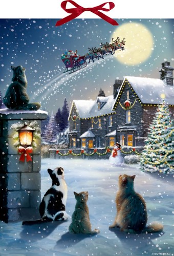 Katzen-Weihnacht