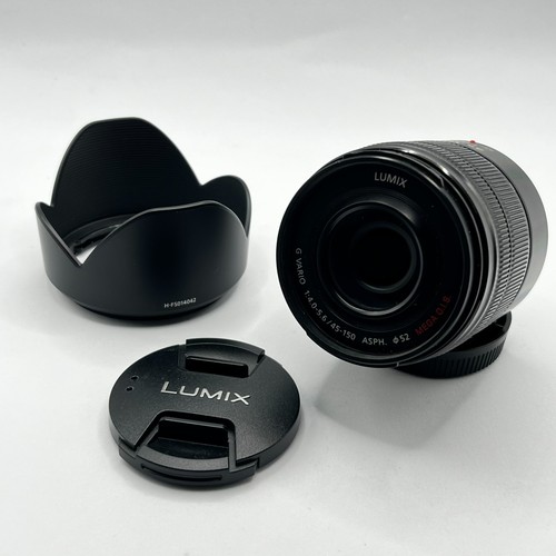 Panasonic lumix vario - g,