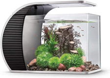 LED Glasaquarium-Set 19 Liter