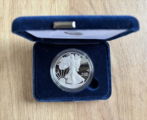 2013 silver american eagle - 2013-w,