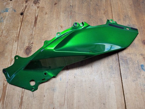 Kawasaki ninja 1000 24 - ninja, sx