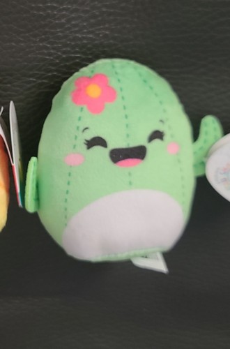 Squishmallow maritza in - squishmallow, 🌵maritza