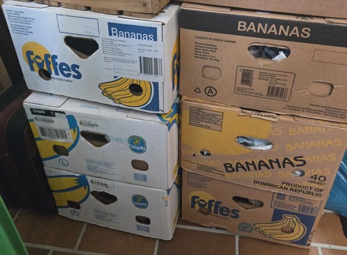 Überraschungs-Bananenkartons