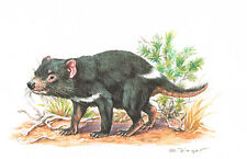 Beutelteufel Beuteltiere Raubbeutler - Kunstdruck-Bild - 25,5 x 17,5 cm