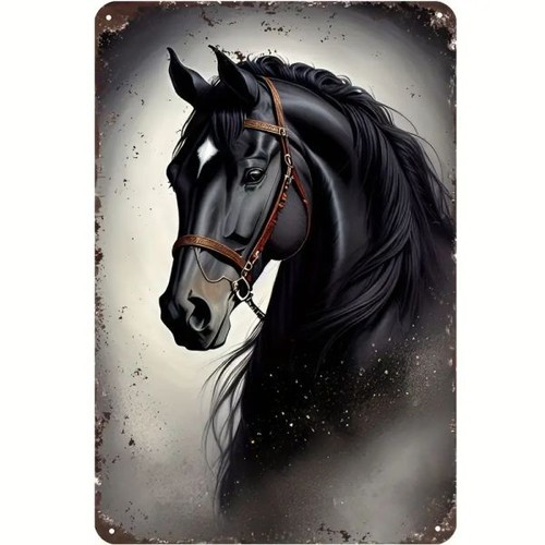 Blechschild hengst pferd - blechschild,